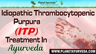 Idiopathic Thrombocytopenic Purpura  ITP Treatment in Ayurveda [upl. by Kolnos]