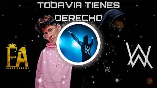 Elias Ayaviri Todavia Tienes Derecho Yauri Music Percy Cr Boza Remix Alan Walker Style 2021FREE [upl. by Ennaeel]