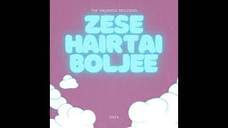 Zese  Hairtai boljee Official audio [upl. by Ahlgren]