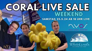 💦 Coral Live Sale WhiteWeekend 💦 Live aus dem White Corals Studio 💦Tag 2 am 25524 ab 18 Uhr 💦 [upl. by Aivilo]