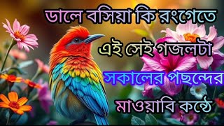 ডালে বসিয়া কি রংগেতে এই সেই গজলটা সকলের পছন্দের মায়াবি কন্ঠে bangla gozol ♥️♥️♥️♥️♥️♥️ [upl. by Inaleon]