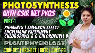 Photosynthesis 1  Photosynthetic Pigments  Emerson Effect and Red Drop  Engelmann Experiment [upl. by Eserehs]