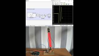 Free Response of a Pendulum System Data Capture using Simulink [upl. by Cass671]