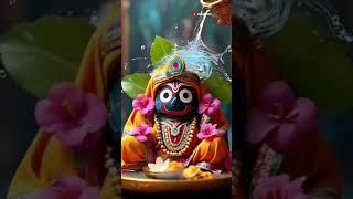 Odia Bhajan short video Jay jagannath 🙏 shorts Dazzlingsr1 [upl. by Dominga]