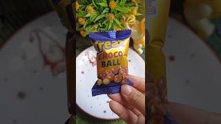 Treat Choco Ball ice cream 🍨😍🤩shortvideo choccolate vairalvideo video viralvideo [upl. by Aniral]