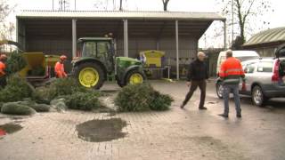 Kerstboom levert Borselse kinderen zakcentje op [upl. by Eeryt435]