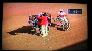 TASER GUN 1998 ISF COLT STAKES PACING FINAL [upl. by Ashley]