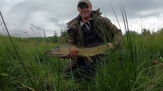 River Bladnoch Pike fishing with the Suicide duck [upl. by Aidahs410]