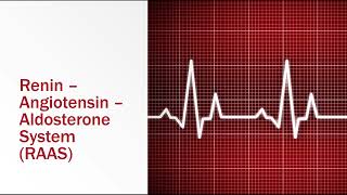 ReninAngiotensinAldosterone System [upl. by Tahpos384]