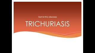 TRICHURIASIS LECTURE Whip worm Transmission Clinical features Management Prevention amp Control [upl. by Drauode]