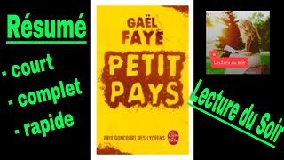 Résumé court et complet de Petit Pays Gaël Faye [upl. by Yclehc]