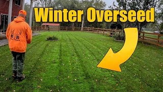 Overseeding Fall Lawns for Winter [upl. by Leahsim]