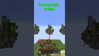 DOUBLE TELLY BRIDGE [upl. by Anael]