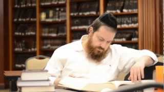 Shor Yoshuv  ShenemarEli Gerstner Music Video שאר ישוב מוסיקת וידאו [upl. by Eisele]