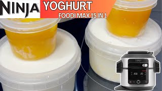 HOMEMADE CREAMY YOGURT amp MANGO COMPOTE YOGHURT  NINJA FOODI 15 in 1 Recipe [upl. by Booker]