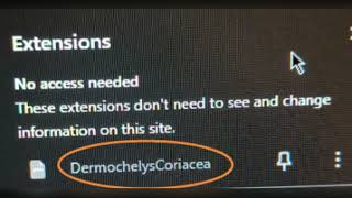 DermochelysCoriacea Extension  How to Remove Dermochelys Coriacea extension [upl. by Melvena602]