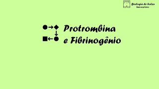 Protrombina e Fibrinogênio [upl. by Neyuq]