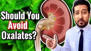 Oxalates in Vegetables  Oxalates and Kidney Stones EXPLAINED [upl. by Kinny675]