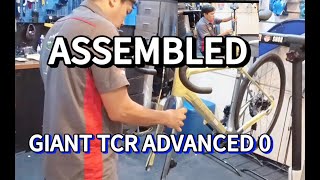 ASSEMBLED  2025 GIANT TCR ADVANCED 0  Specs Next Video [upl. by Kosiur]