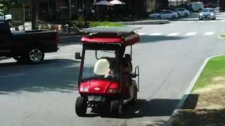 Solar Powered Golf Cart 400 Watt Monocrystalline 48 Volt [upl. by Lishe538]