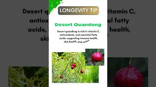 quotQuandong Quest Desert Superfruit for Longevityquot [upl. by Suhpoelc547]