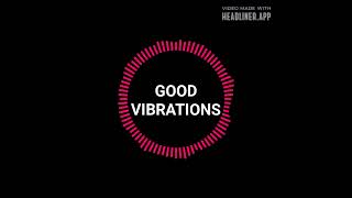 GOOD VIBRATIONS SONG BY MARKY MARK amp THE FUNKY BUNCH [upl. by Arec]