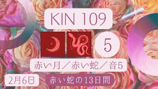 【黒KIN４日目】【マヤ暦 KIN109】今日の銀河のエネルギーについて｜キーワードと過ごし方（2024年2月6日） [upl. by Eskil13]