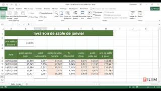 Excel  1 Basique  Cours Actions sur les feuilles [upl. by Demha]