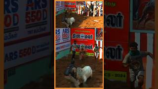 எவனா இருந்தால் என்ன…jallikattu2024 shorts [upl. by Ramhaj]