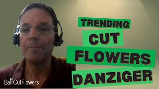 Trending Cut Flowers from Danziger for 20242025 [upl. by Tildi]