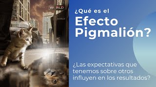 ¿Qué es el Efecto Pigmalión [upl. by Nivej]