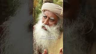 Rat Race Is For Rats Sadhguru competition fullpotential ratrace Humangenius possibilities [upl. by Eiraminot]