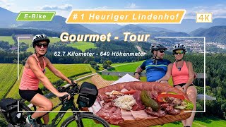 EBike GourmetReisen  1  Heuriger Lindenhof  Traumhaftes Wetter [upl. by Remsen]