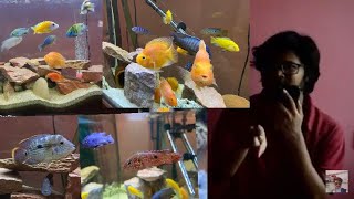 Tropical fish for beginners in tamil  African cichlids tanks  Oscar Fish  Parrot fish [upl. by Maisie101]