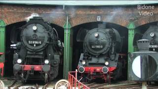 EisenbahnFest Staßfurt 12  Steam Train  Züge [upl. by Heim]