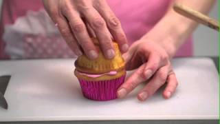 Pinkalicious Cupcake Cookbook How to Make a Pinkalicious Cupcake [upl. by Esihcoc]