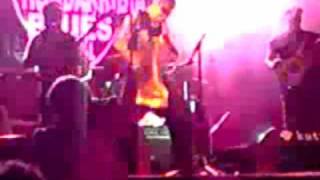 Dwayne Dopsie and the Zydeco Hellraisers crazy washboard solo [upl. by Neenahs695]