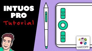 How to Use Wacom INTUOS PRO Small 2019 Model [upl. by Cherice]