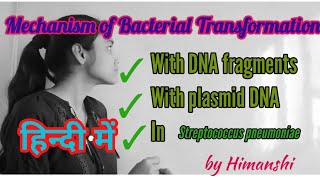 Mechanism of Bacterial Transformation in Hindi by Himanshi [upl. by Mckinney384]