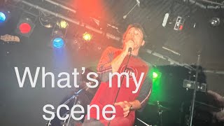 What’s my scene  Live cover Hoodoo Gurus [upl. by Avalsorim]