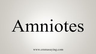 How To Say Amniotes [upl. by Eninaej]