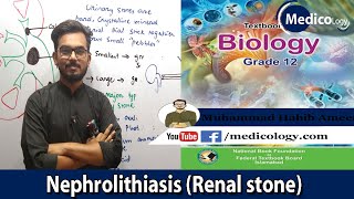 Kidney Stone Nephrolithiasis  Lithotripsy ESWLPCNL  Federal Board Biology [upl. by Mose]