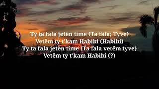 Habibi lyrics 🔥 [upl. by Yttik]