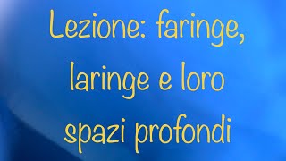 Lezione faringe laringe e spazi profondi [upl. by Nosyk967]