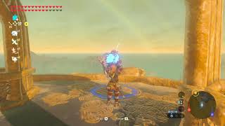 botw BLSS tutorial 2023 [upl. by Lorenza]