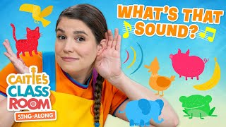 Whats That Sound  Caities Classroom SingAlong Show  Fun Listening Songs For Kids [upl. by Einna]