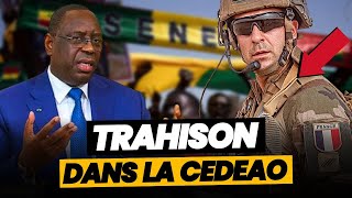 INCROYABLE La CEDEAO veut INTERVENIR au SÉNÉGAL [upl. by Winne]