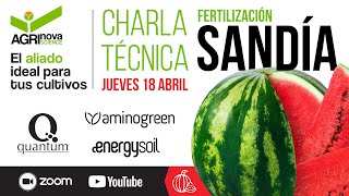 Charla técnica sobre fertilización en cultivo de sandía [upl. by Khorma]