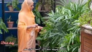 OST drama fasaksehar Khan naat statusFatima naat shahy madina [upl. by Ateuqram]