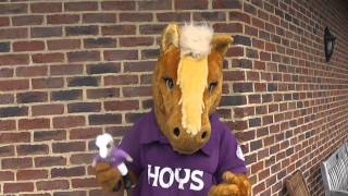 Harry HOYS interview before the Mascot Grand National [upl. by Cindy]